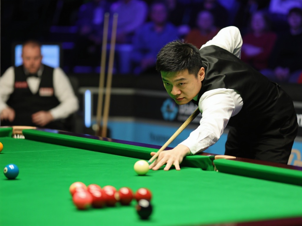 用户应定期 用户应定期